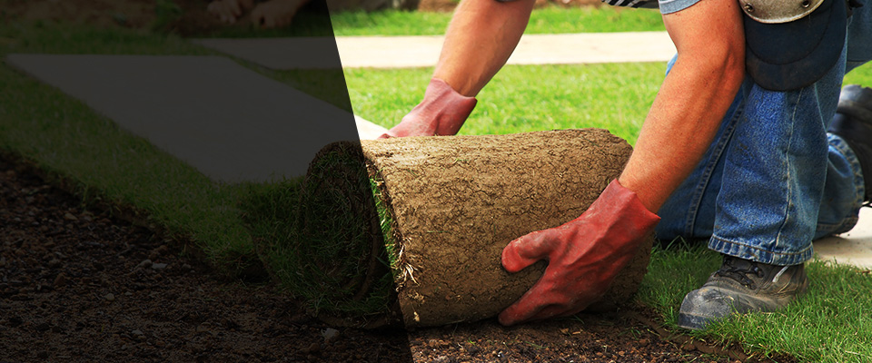 Egg Harbor City Landscapers